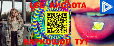 гашик Кимры