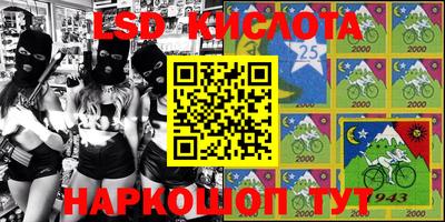 гашик Кимры