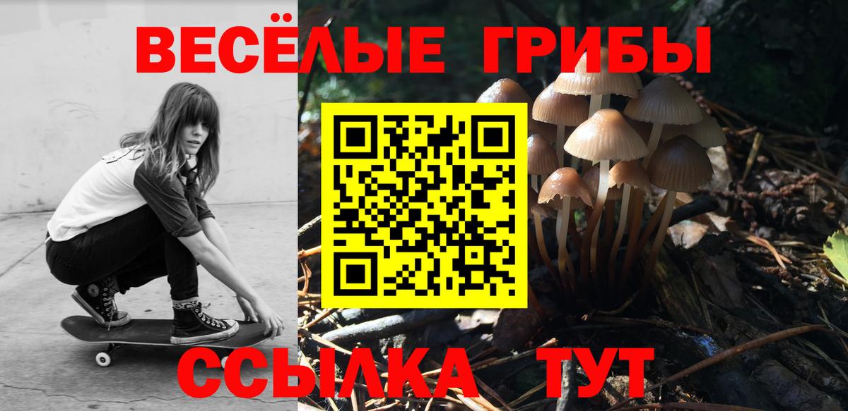 Бутурлиновка  Галлюциногенные грибы Cubensis  Вход с VPN  Галлюциногенные грибы MAGIC MUSHROOMS 